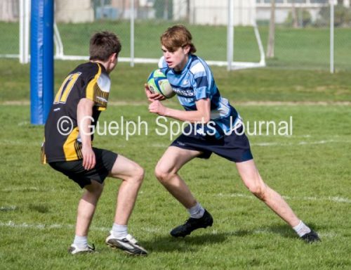 Ross Royals sweep senior/junior rugby doubleheader