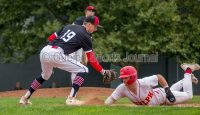 Photos: Guelph Gryphons-Carleton Baseball