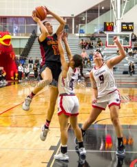 Gryphon hoops women topped by national champ Carleton