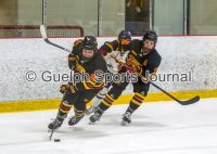 Photos: Guelph Gryphons-Toronto Women’s Hockey